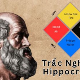 Trắc Nghiệm Tính Cách Hippocrates: Đoán Tính Cách Dựa Trên Thuyết Thể Dịch